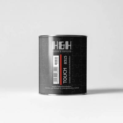 Полупрозрачная краска H&H TOUCH SELTENHEIT 0.9л
