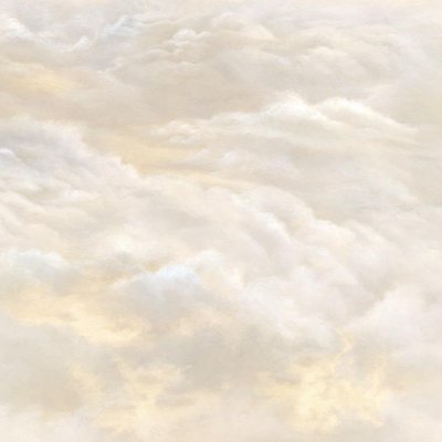 Applico Five 0066-Br1