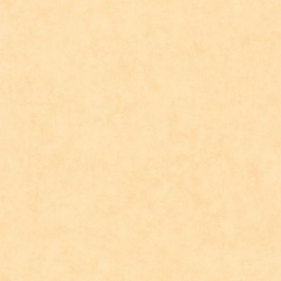 Виниловые Caselio Beton 2 Распродажа  остатков 1 рул.