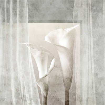 Обои Skinwall Standard Collection 2021 122-LIGHT-DRAPERY