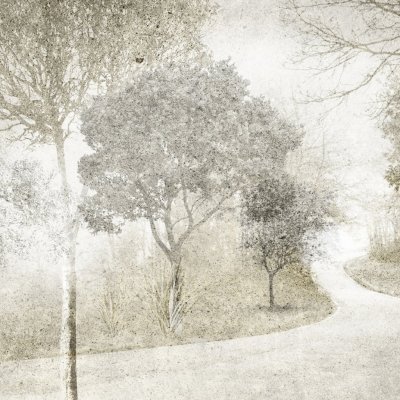 Обои Skinwall Standard Collection 2021 123-WHITE-PATH