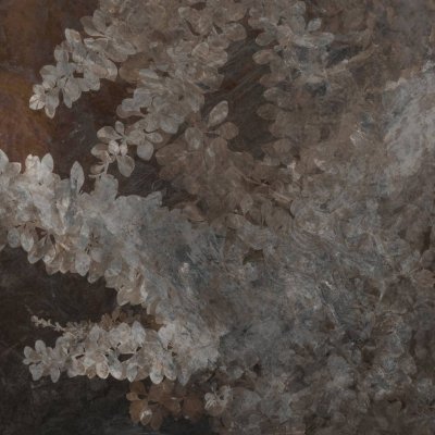 Обои Skinwall Standard Collection 2021 126-A-SOFT-NATURE