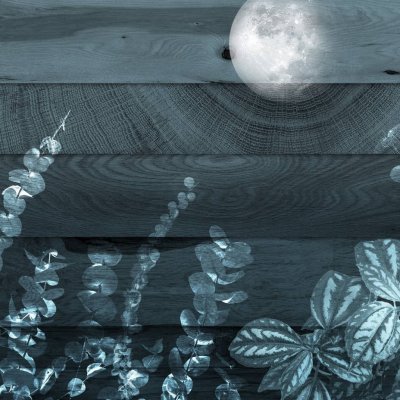 Обои Skinwall Standard Collection 2021 129-WOOD-NIGHT