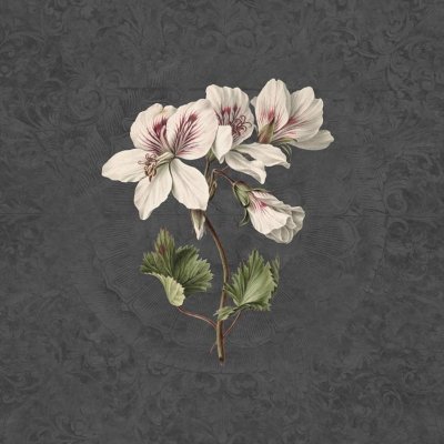 Обои KT-Exclusive Vanilla Lime 14276