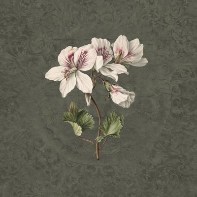 Обои KT-Exclusive Vanilla Lime 14278