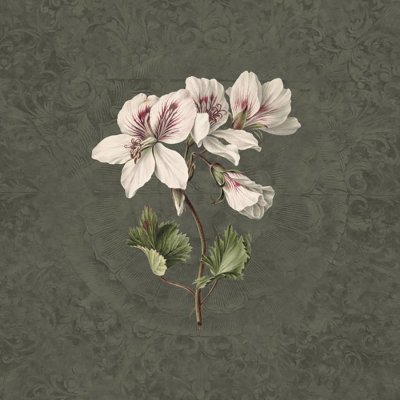 Обои KT-Exclusive Vanilla Lime 14279