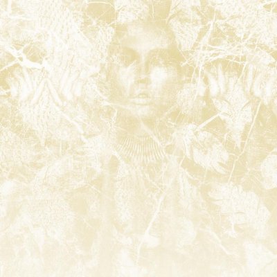 Обои KT-Exclusive Vanilla Lime 14350