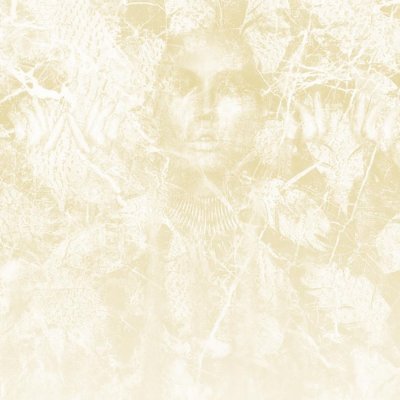 Обои KT-Exclusive Vanilla Lime 14351