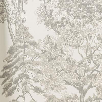 Обои Milassa Ambient vol.4 AM5 002/1