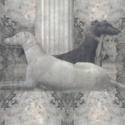 Обои Skinwall Standard Collection 2021 505-PIERO-DELLA-FRANCESCA