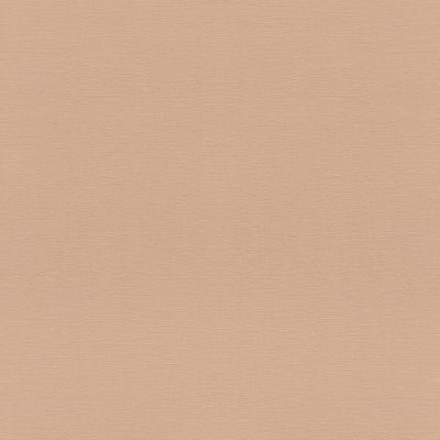 Обои Rasch Allegretto 687576