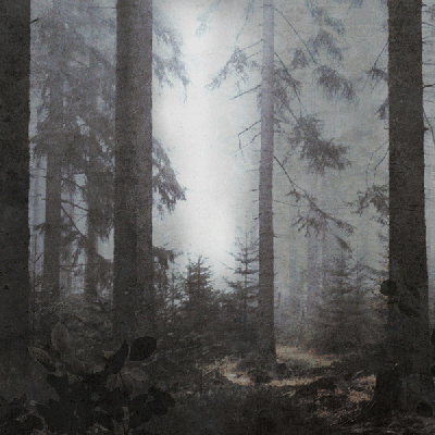 Обои Skinwall Suite Collection 717-SOUND-OF-SILENCE