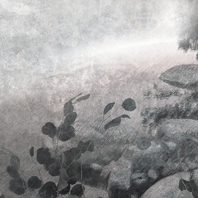 Обои Skinwall Suite Collection 718-FLOATING