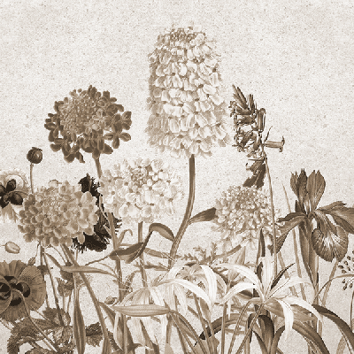 Обои Skinwall Suite Collection 719-SPRING-TIME