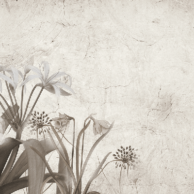 Обои Skinwall Suite Collection 727-BLOOMING