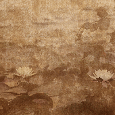 Обои Skinwall Suite Collection 738-NINFEA-B