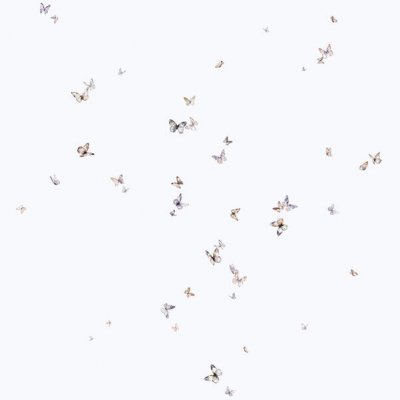 Обои Marburg Trace 97796