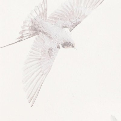 Обои Milassa Ambient vol.3 AM11 001