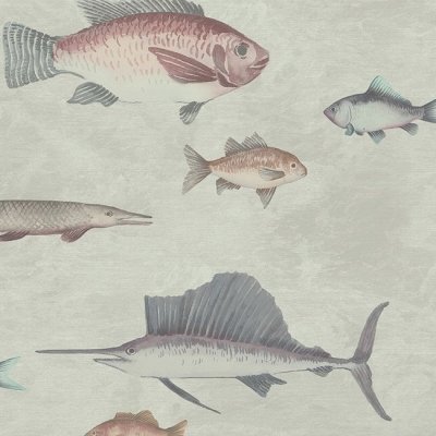 Обои KT-Exclusive Discovery DYW0001