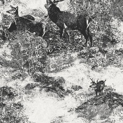 Обои Architector Sauvage II KT40600