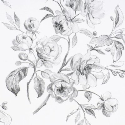 Обои Designers guild Flowers Volume 1 P540-01s