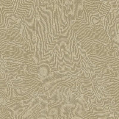 Обои Trendsetter Thom TH9921