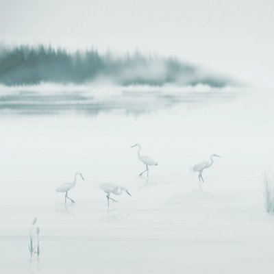 Обои ICH Panorama 2 V169-1