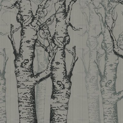 Обои Skinwall Standard Collection 2021 VW4018-A-ECRU-HEM