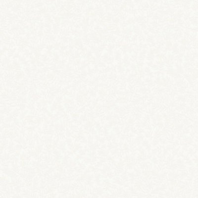 Обои Rasch Bright Whisper W189101