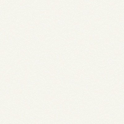 Обои Rasch Bright Whisper W189102