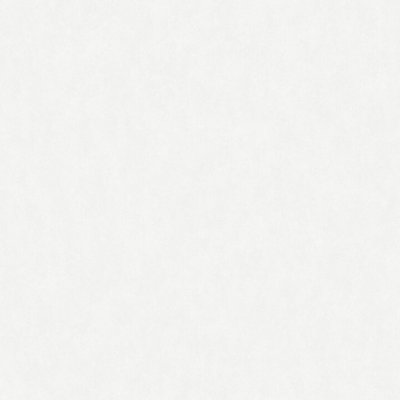 Обои Rasch Bright Whisper W190001