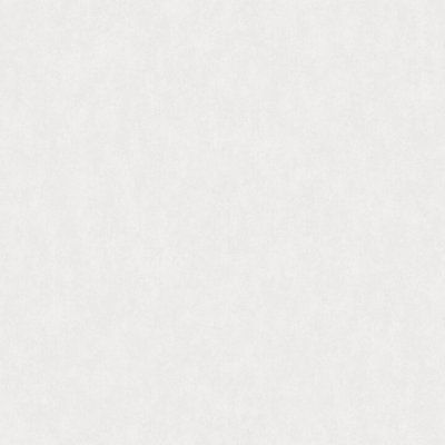 Обои Rasch Bright Whisper W190013