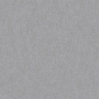 Обои Rasch Bright Whisper W190029