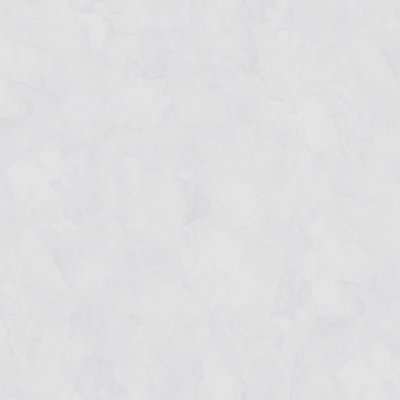 Обои Rasch Bright Whisper W197003