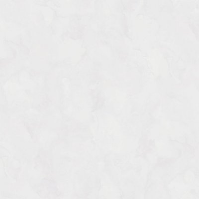 Обои Rasch Bright Whisper W197013