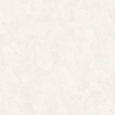 Обои Rasch Bright Whisper W197043