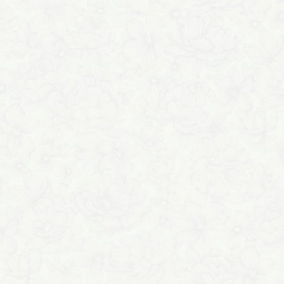 Обои Rasch Bright Whisper W197101