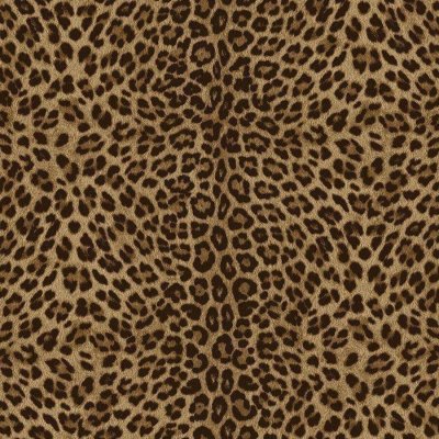 Обои Zambaiti Philipp Plein 2 Z81029